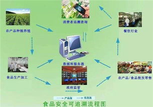 剖析物联网能使一人养一万头猪 是真需求还是伪痛点的车联网科技思考